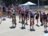gvva-2013-bctpc-d3-tmc-8780