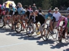 gvva-2013-bctpc-d3-tmc-8806