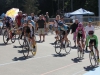 gvva-2013-bctpc-d3-tmc-8807